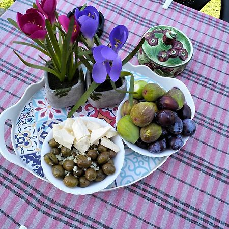 Olive Apartment 포드고리차 외부 사진