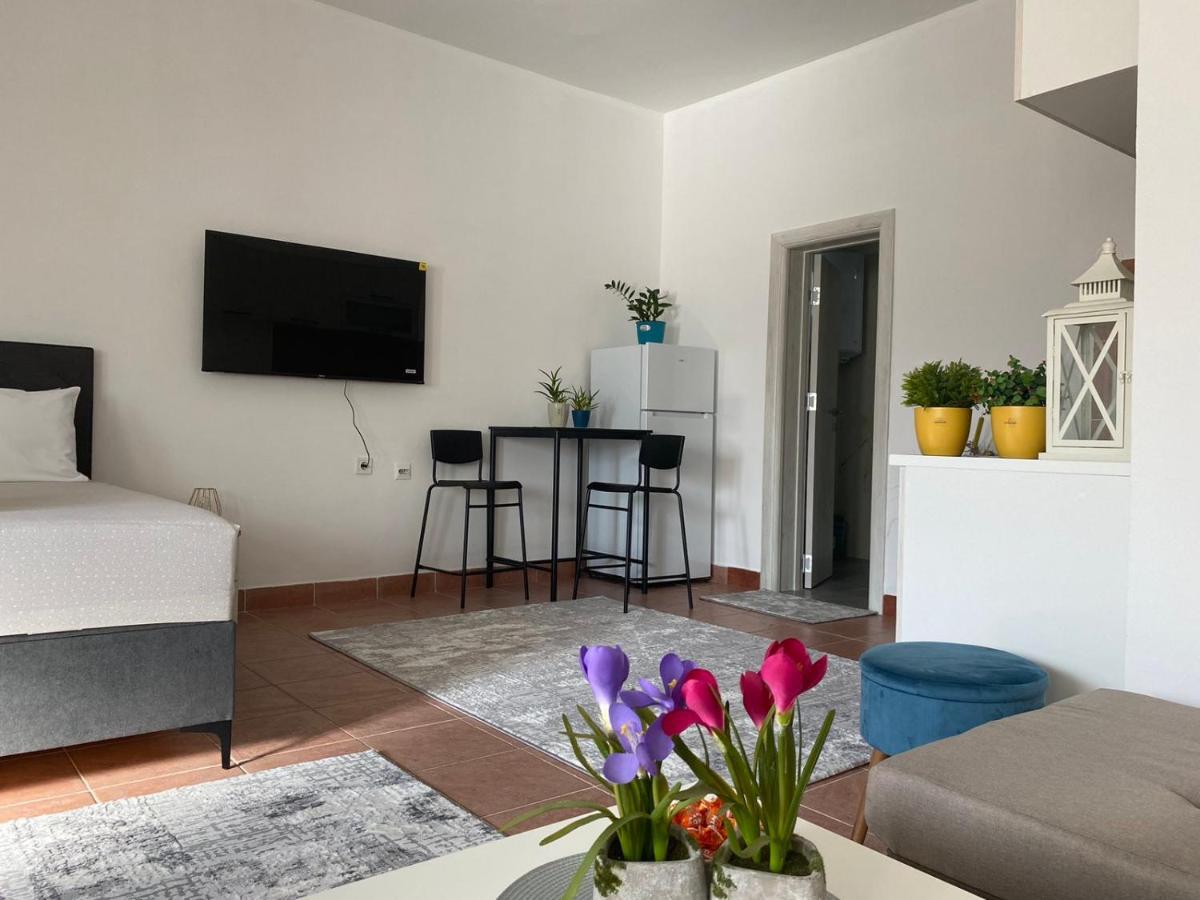 Olive Apartment 포드고리차 외부 사진