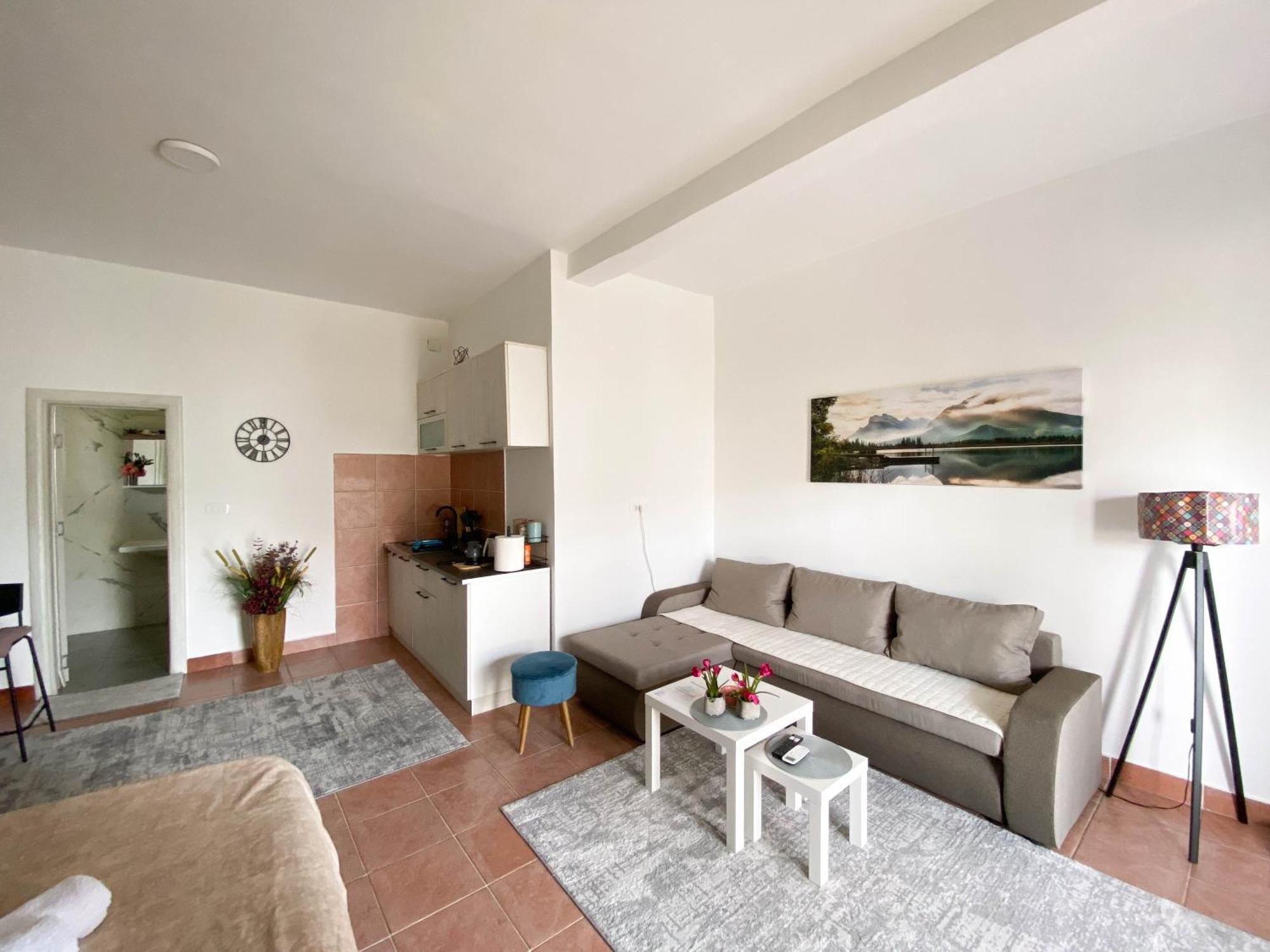 Olive Apartment 포드고리차 외부 사진