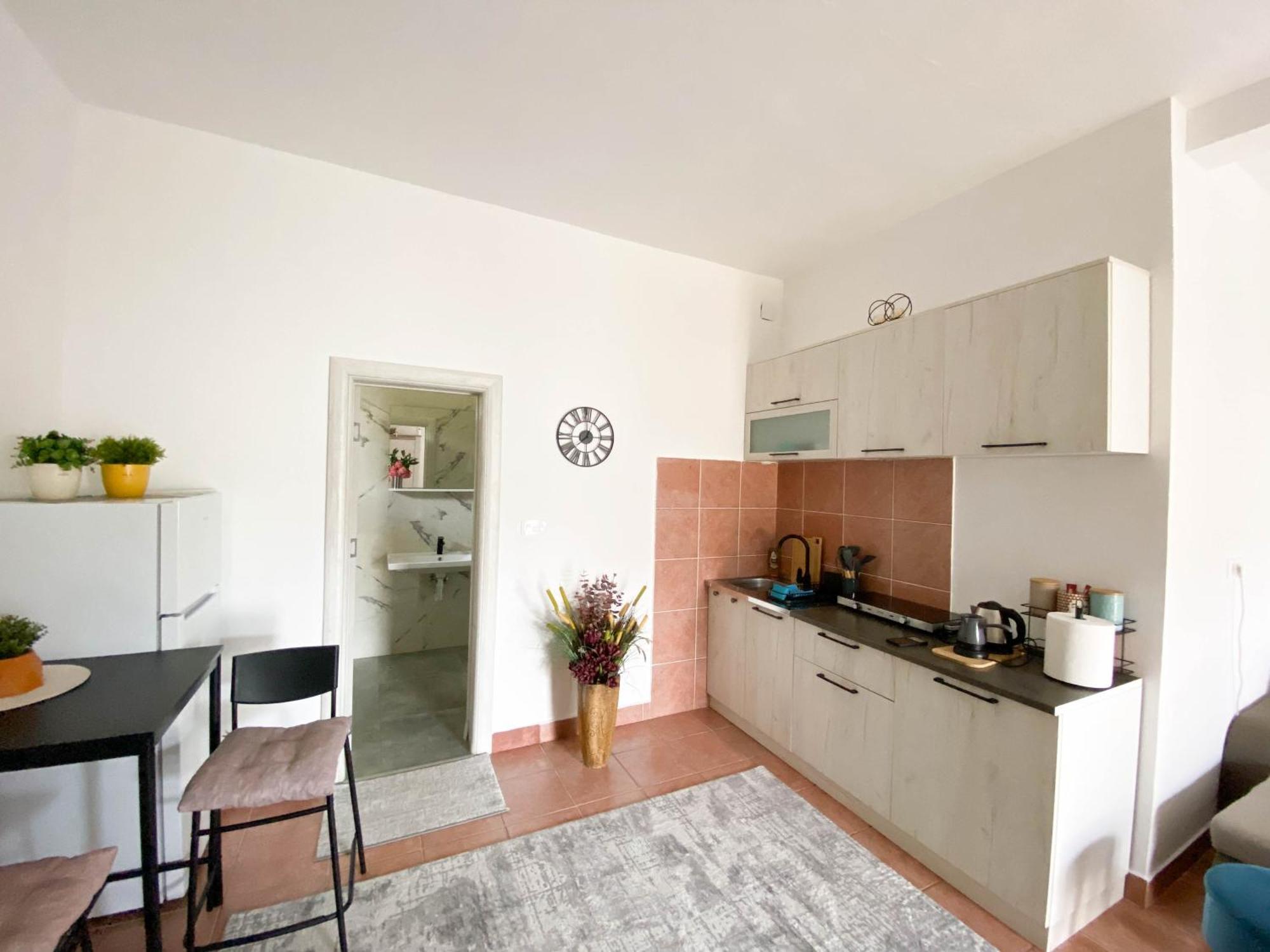 Olive Apartment 포드고리차 외부 사진